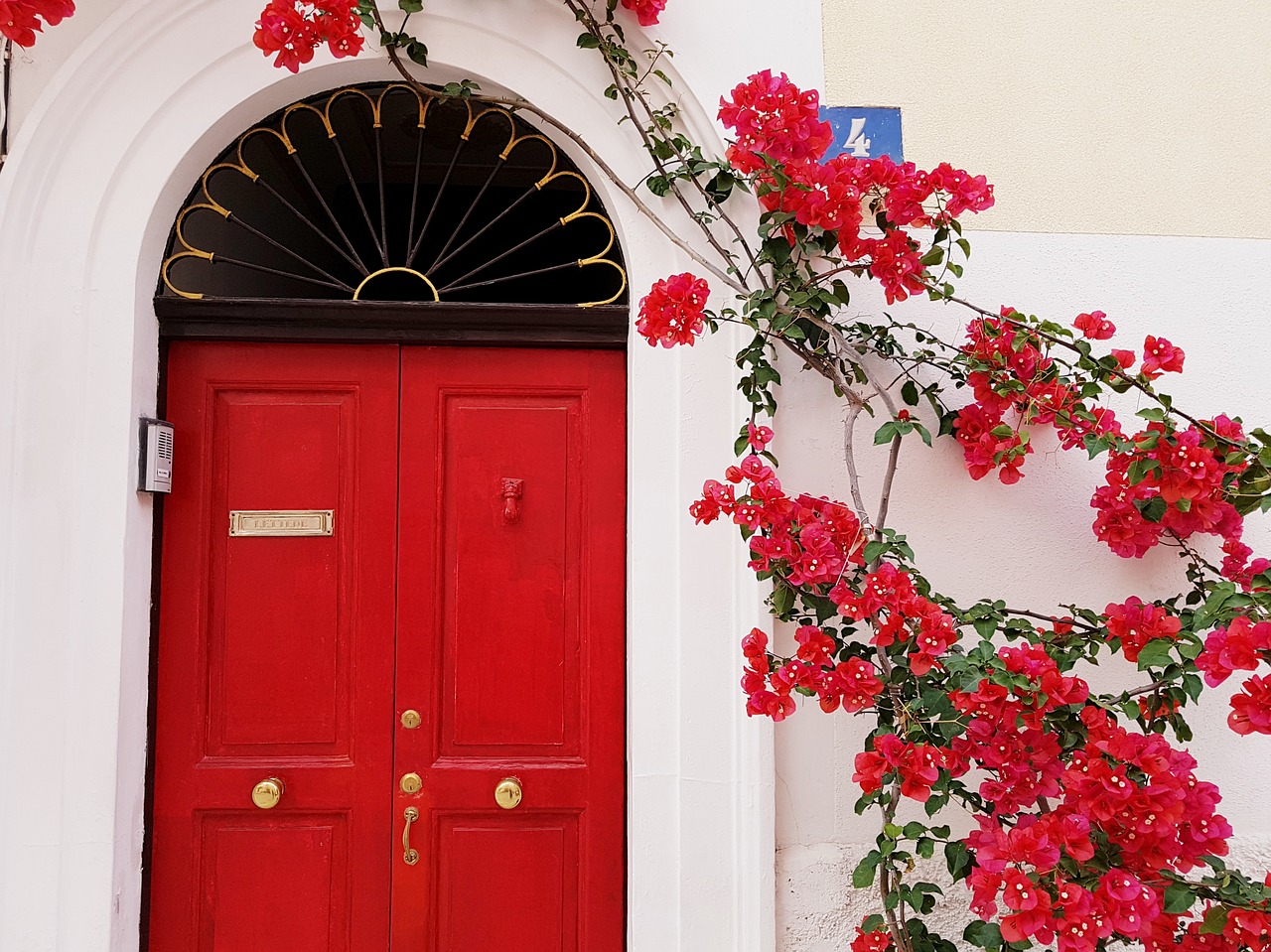 spring  flowers  red free photo