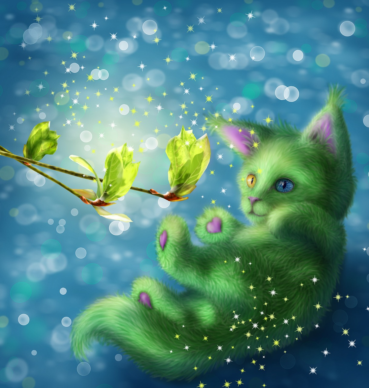 spring  cat  fantasy free photo