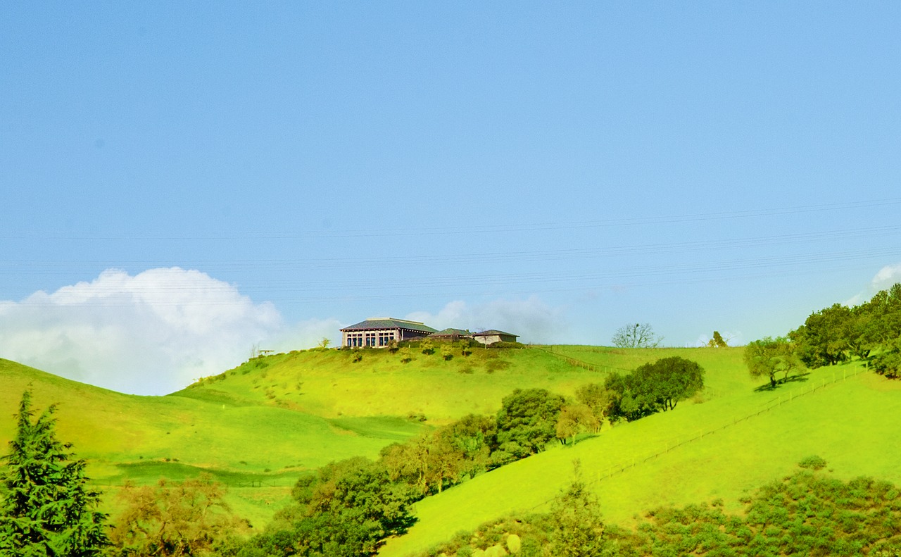 spring  the outskirts  hillside free photo