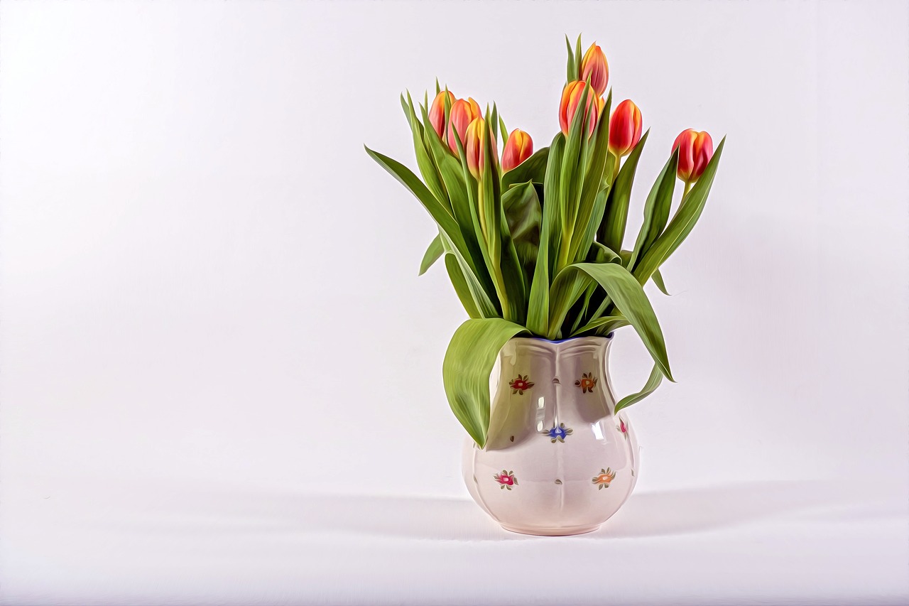 spring  flowers  tulip free photo