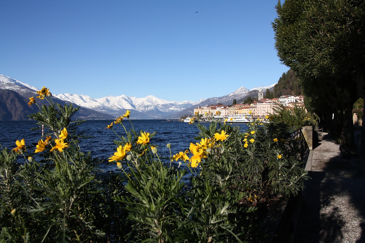 spring  flowers  lake free photo