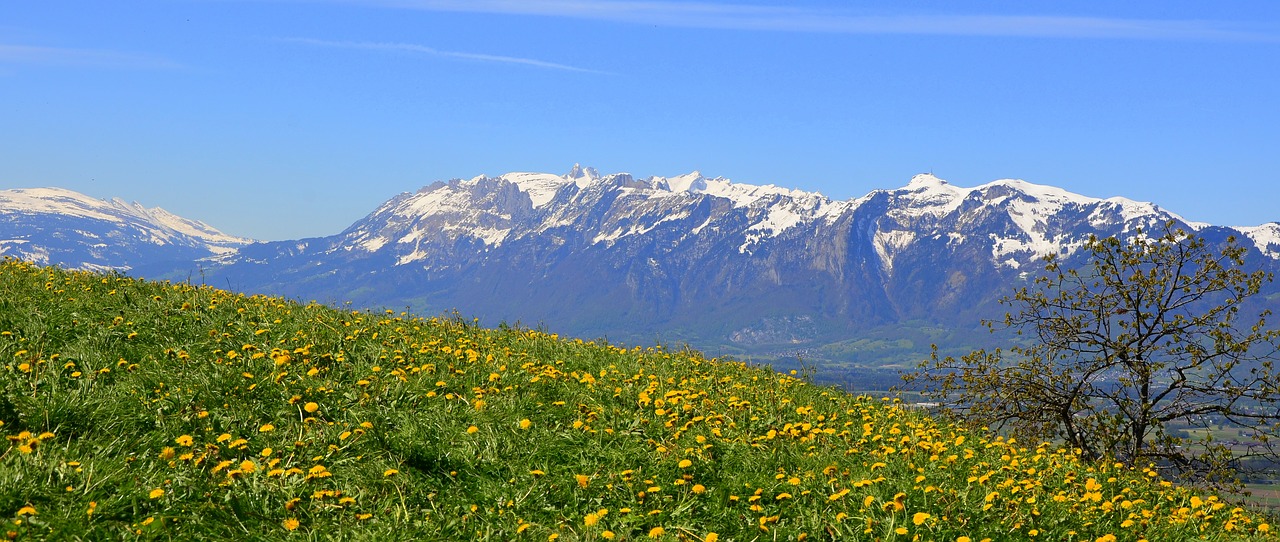 spring  mountains  sky free photo