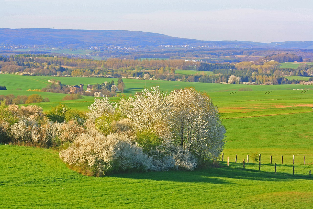 spring  nature  landscape free photo