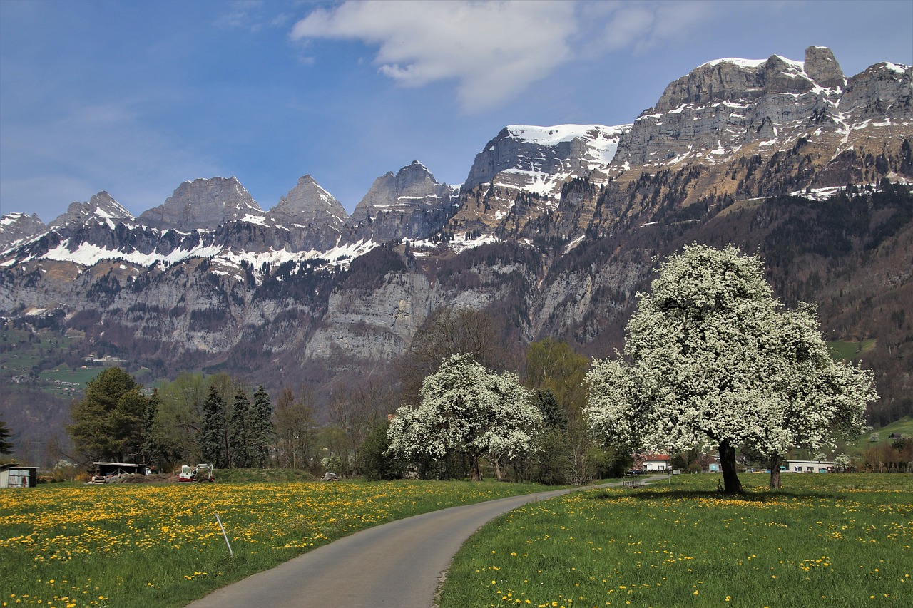 spring  mountains  way free photo