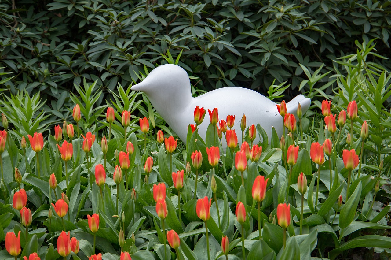 spring  flowers  keukenhof free photo