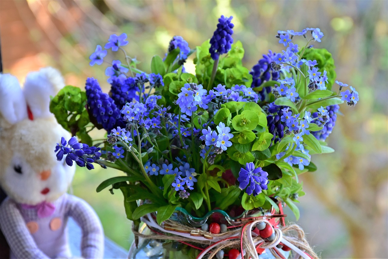spring  forget me not  flowers free photo