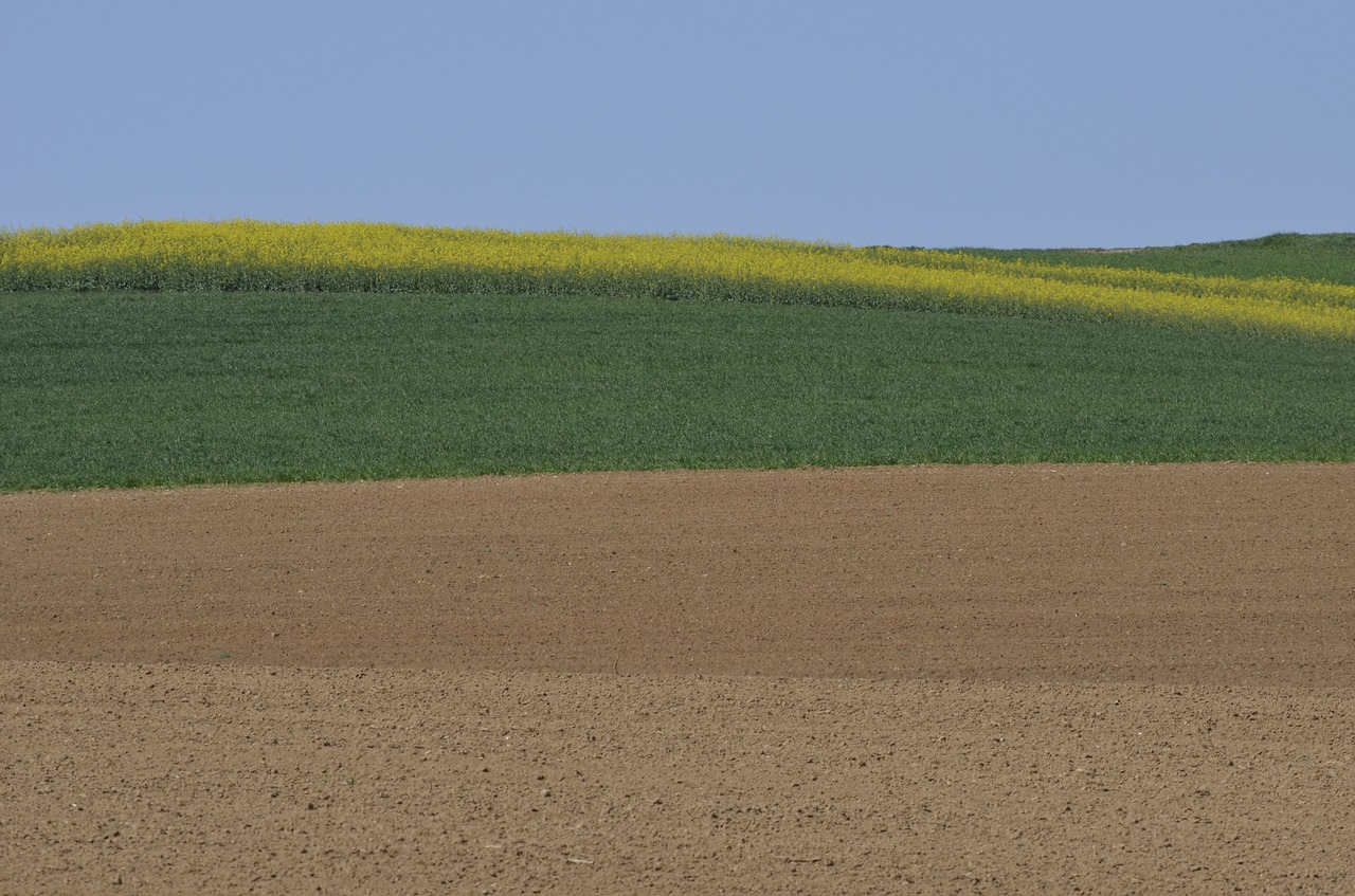 spring  fields  agriculture free photo