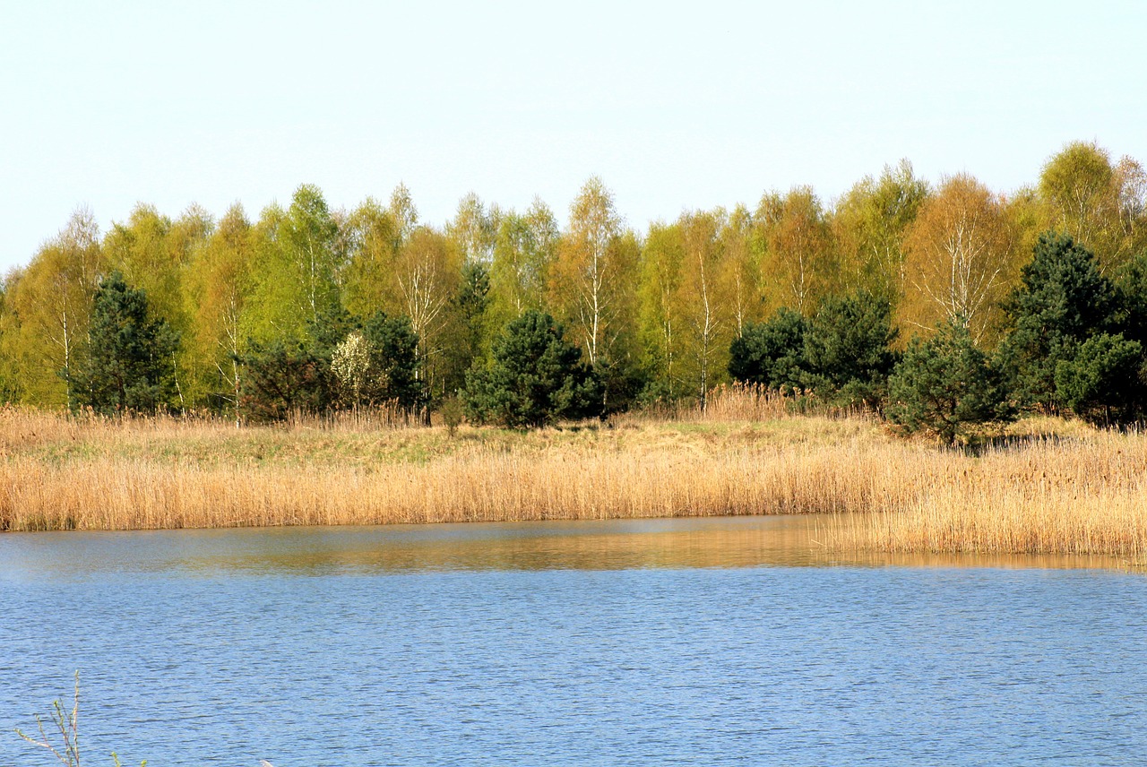 spring  landscape  lagoon free photo