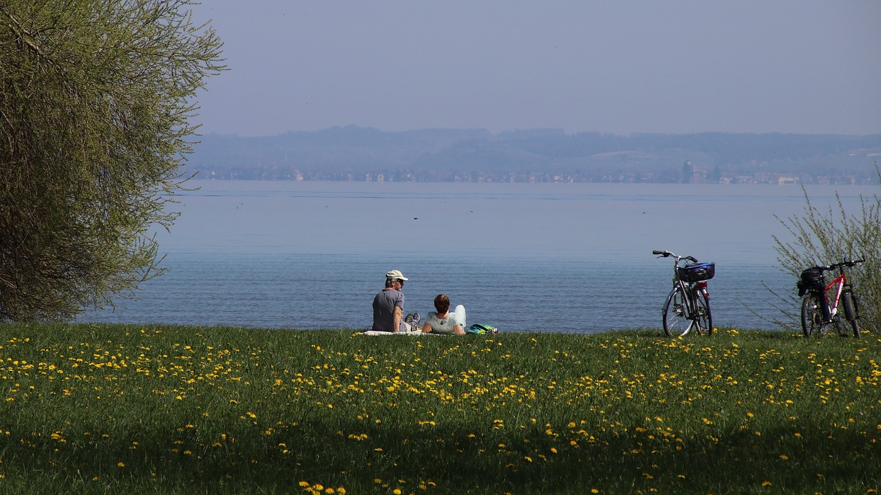 spring  lake  picnic free photo