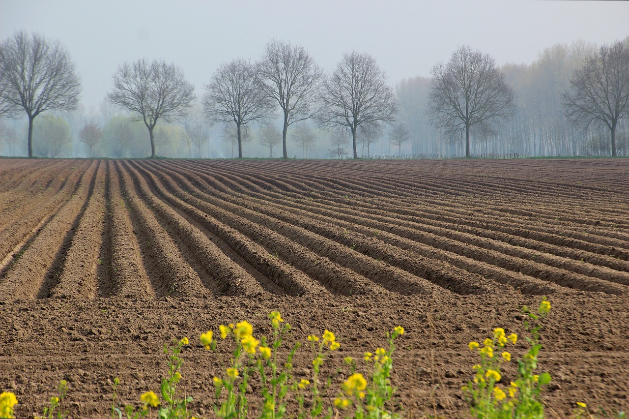 spring  agricultural land  plowed free photo