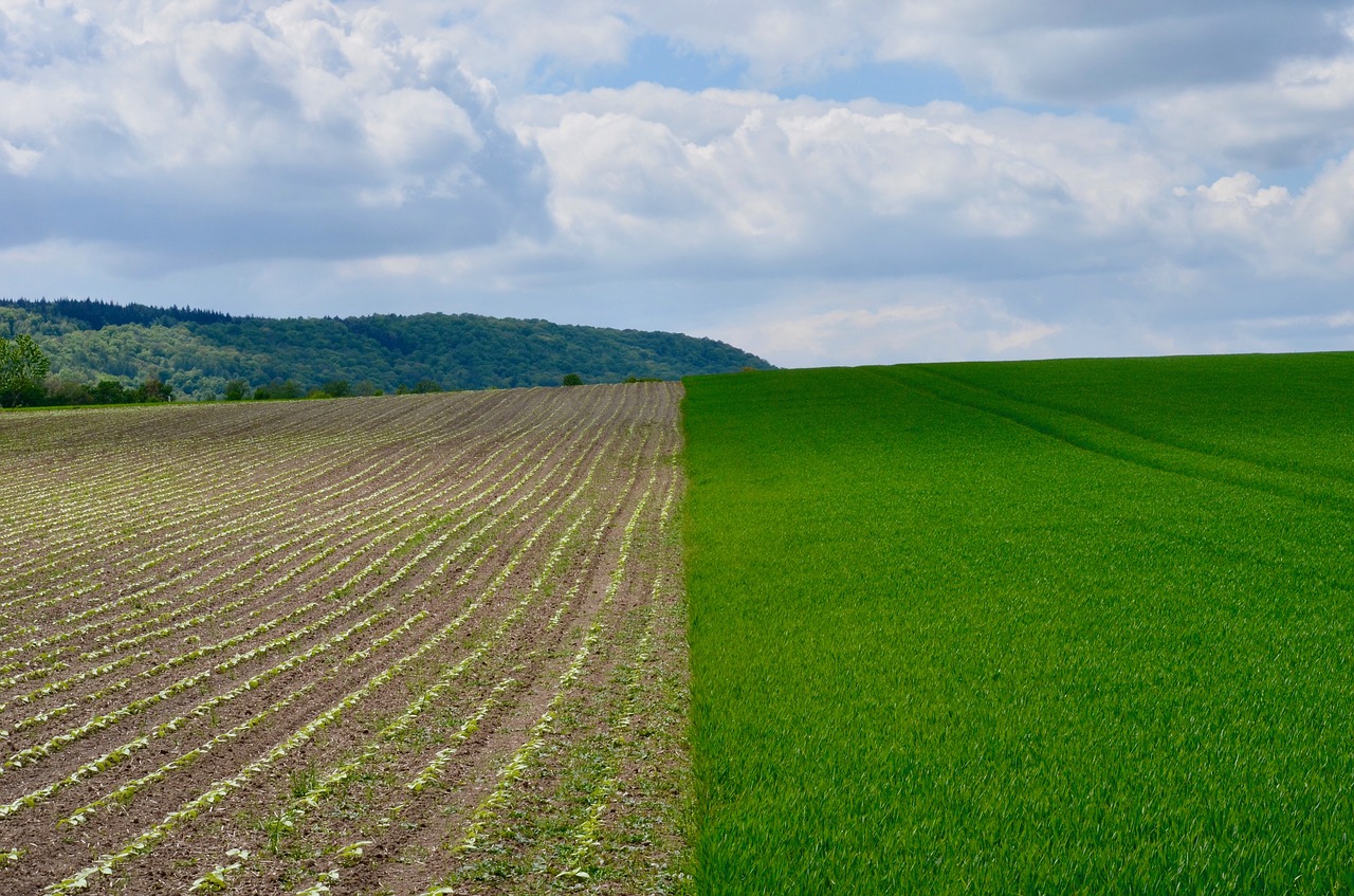 spring  agriculture  field free photo