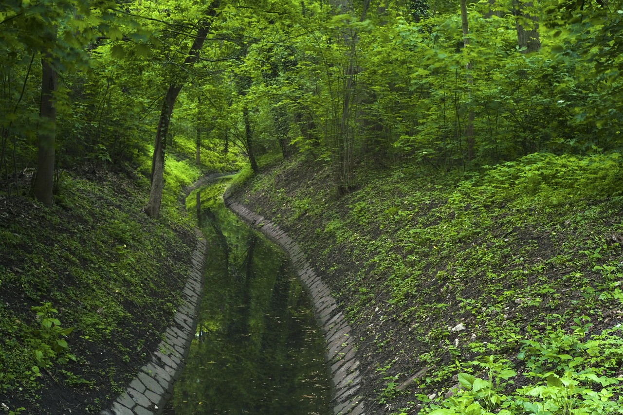 spring  green  nature free photo