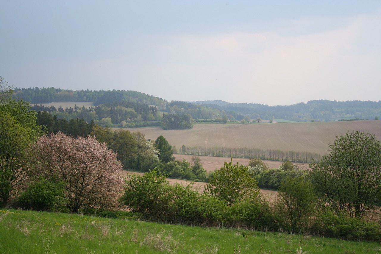 spring landscape czech republic free photo