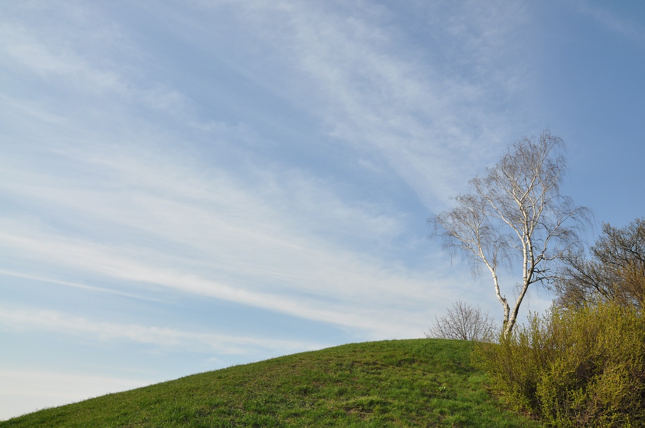 spring meadow sky free photo