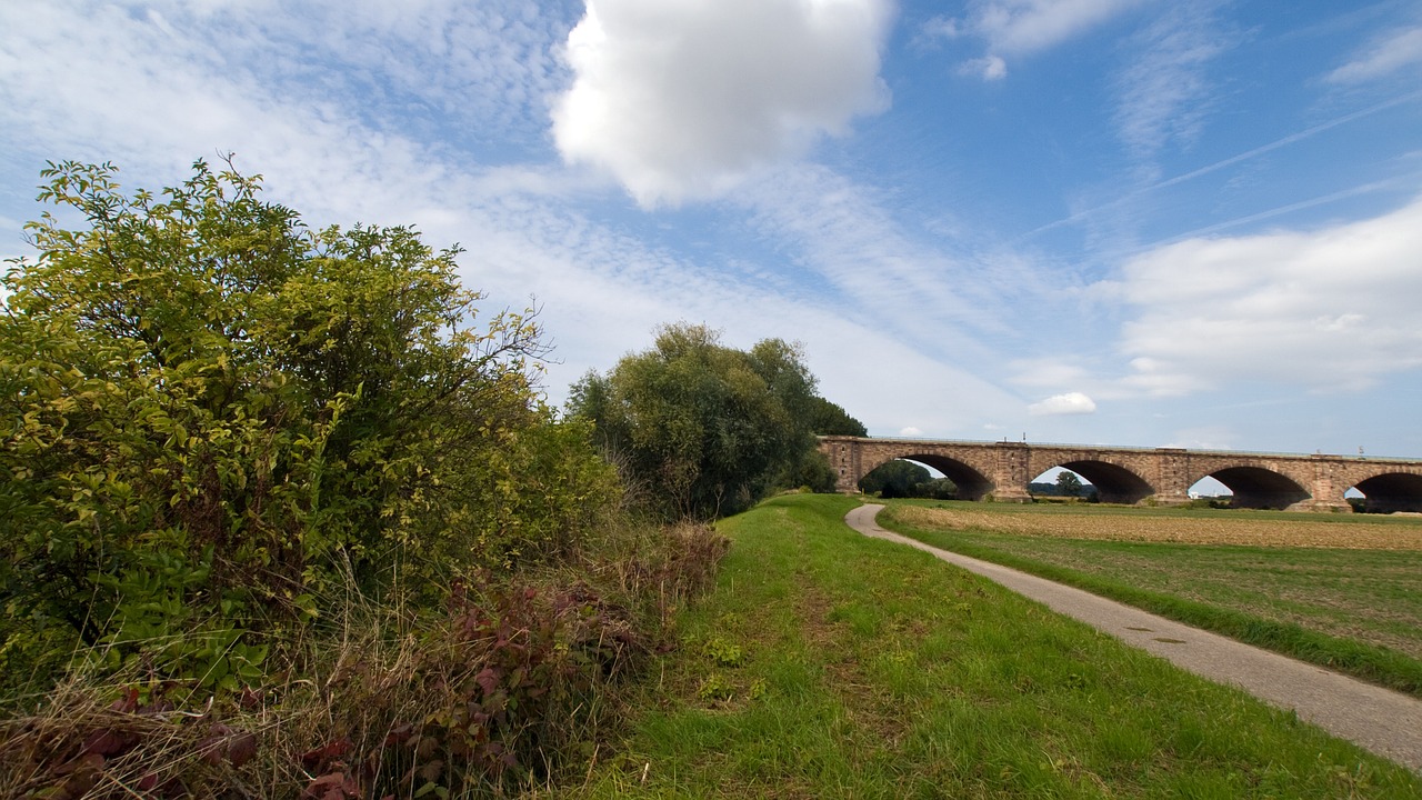 spring lane clouds free photo