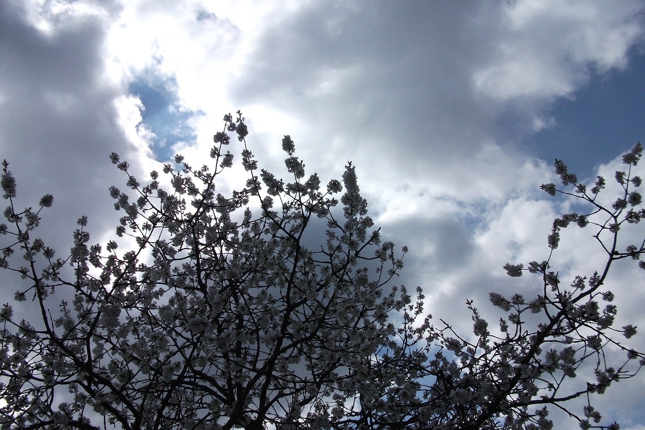 spring sky blue free photo