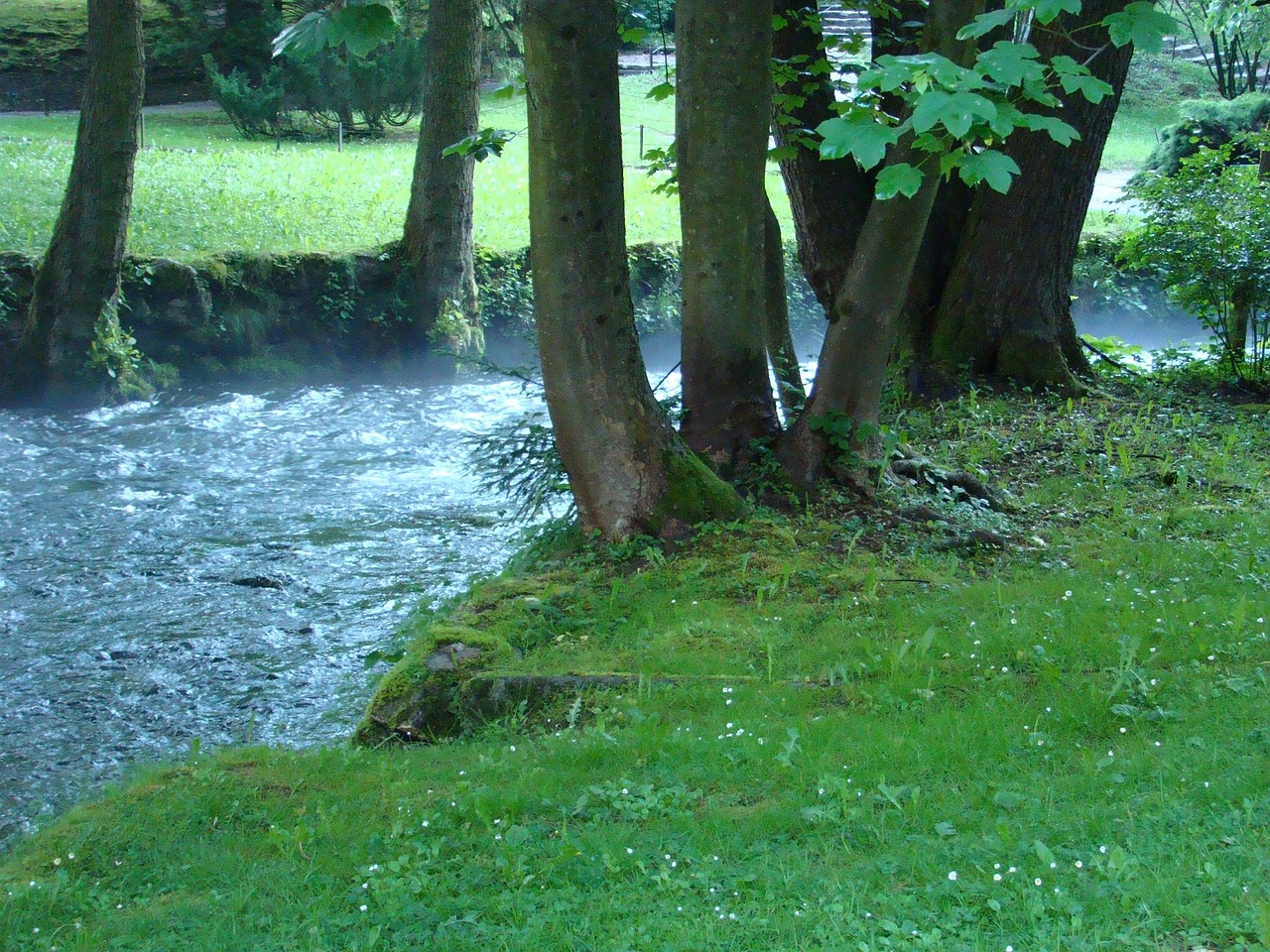 spring stream creek free photo