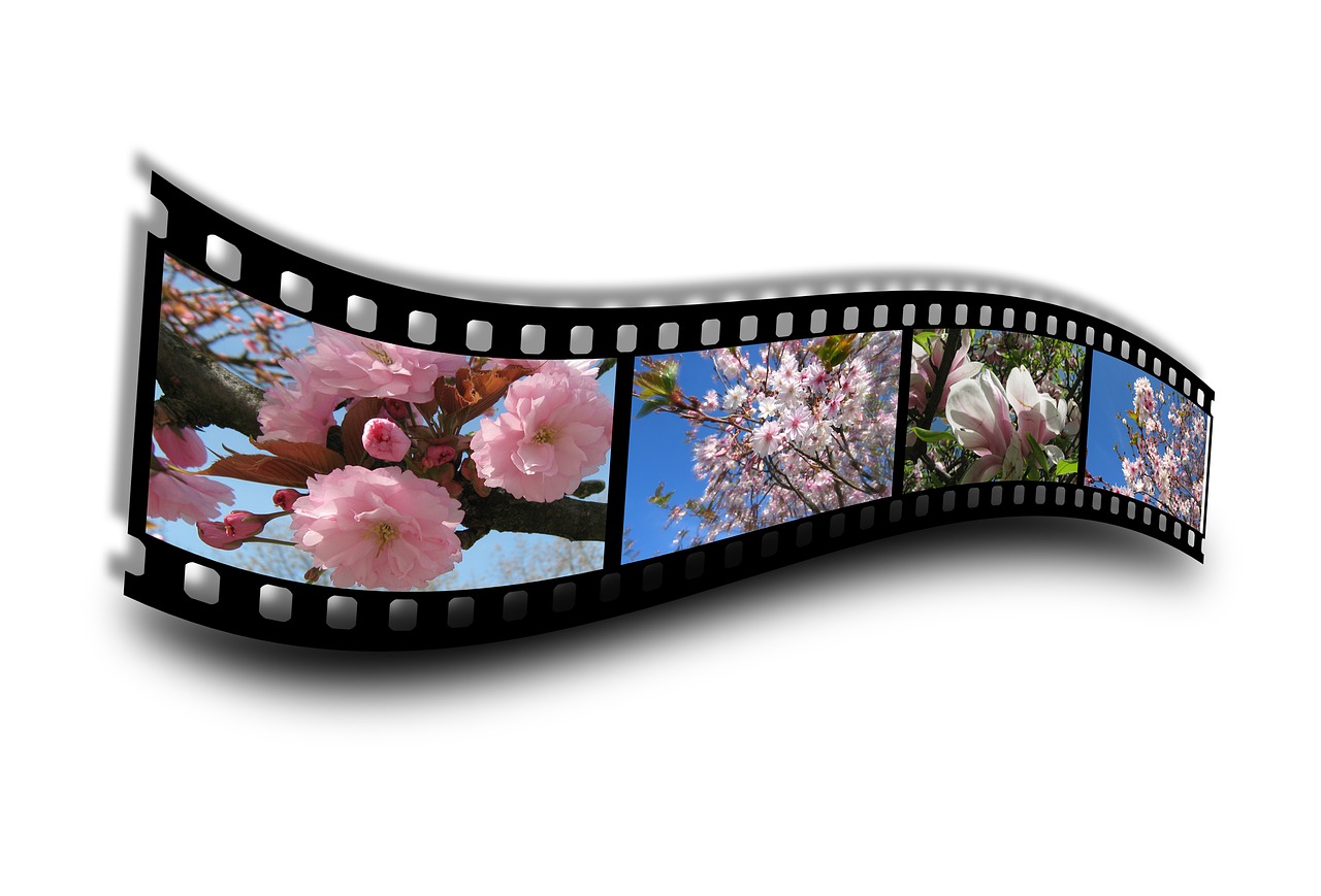 spring film filmstrip free photo
