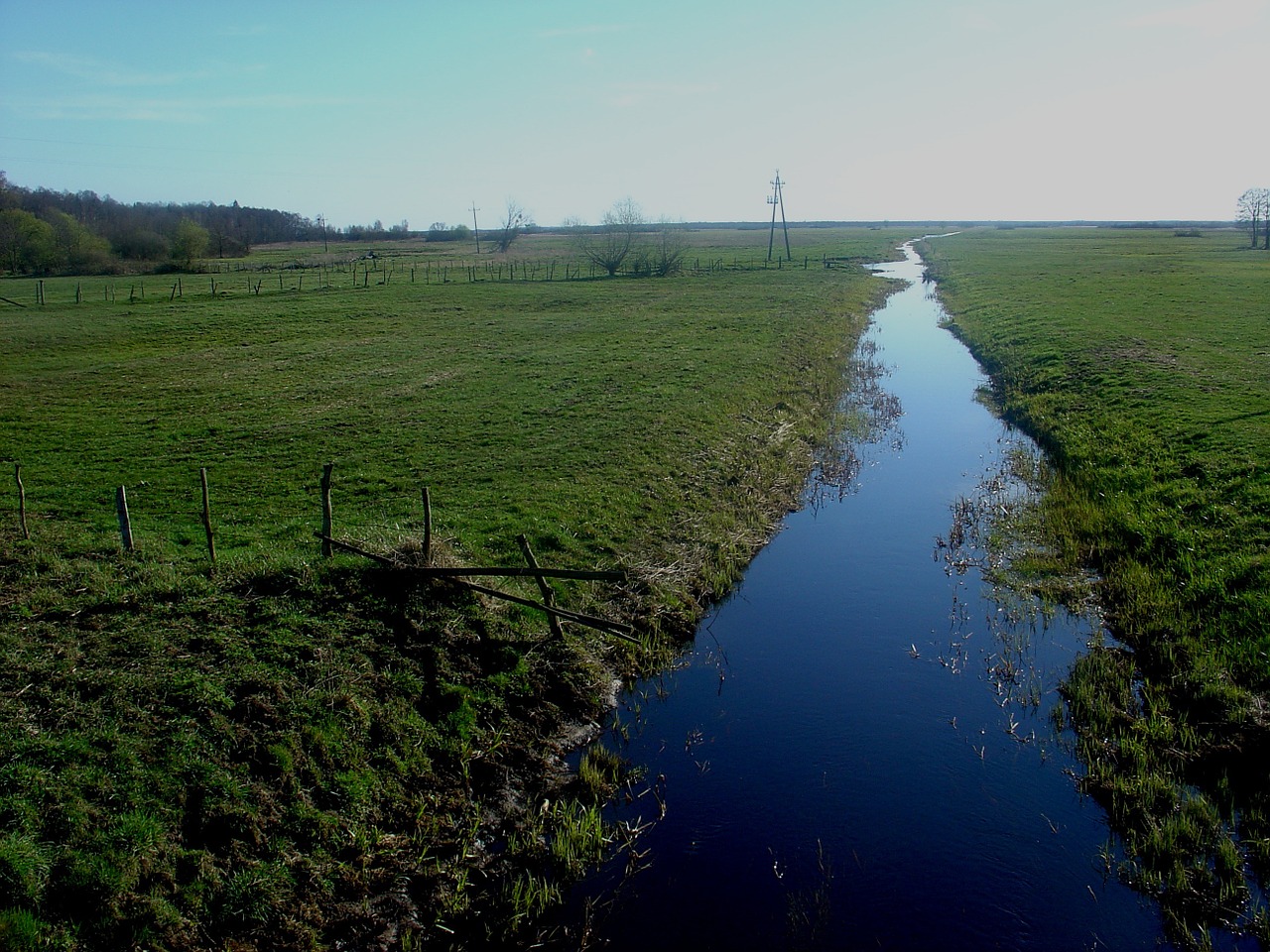 spring water brook free photo