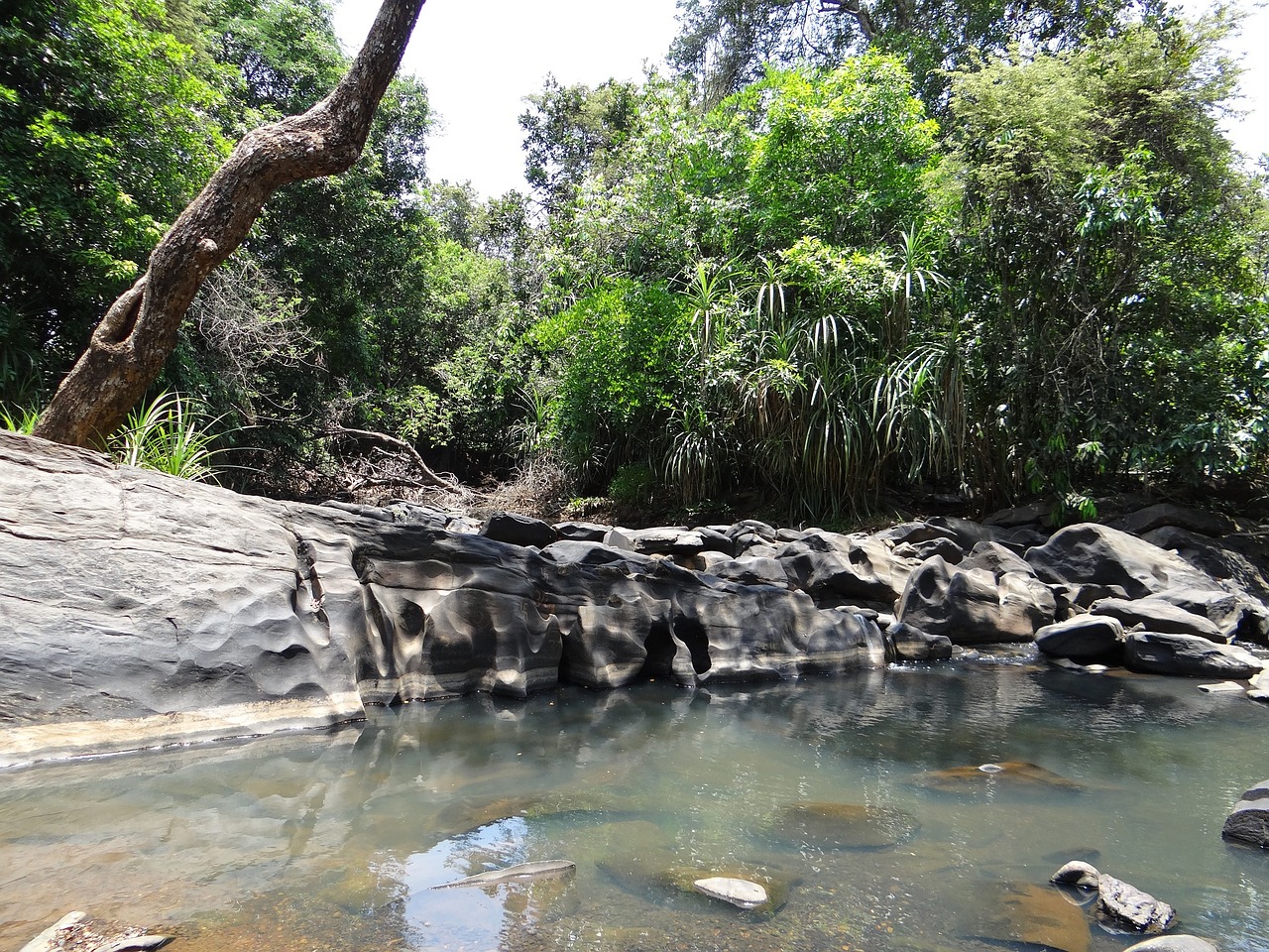 spring brook water free photo