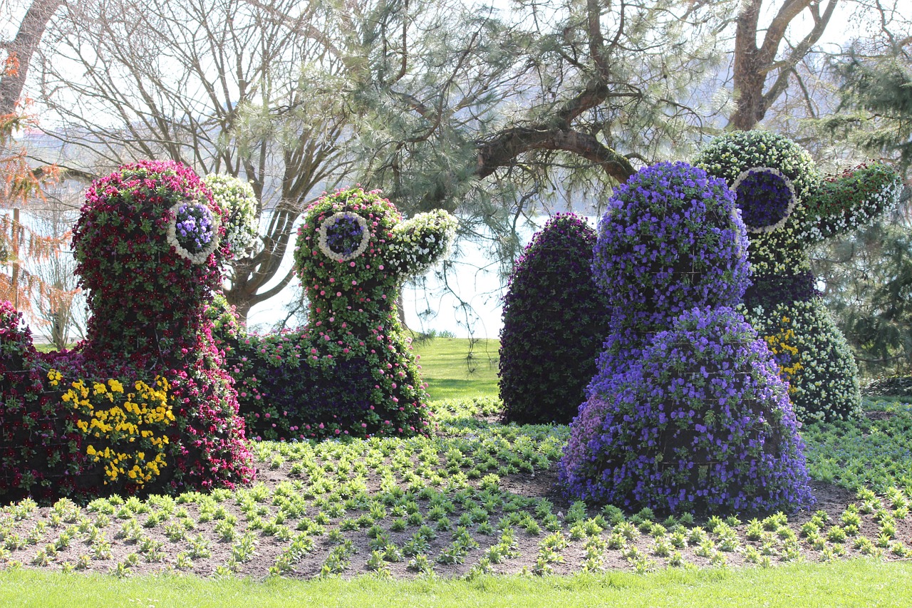 spring ducks mainau free photo