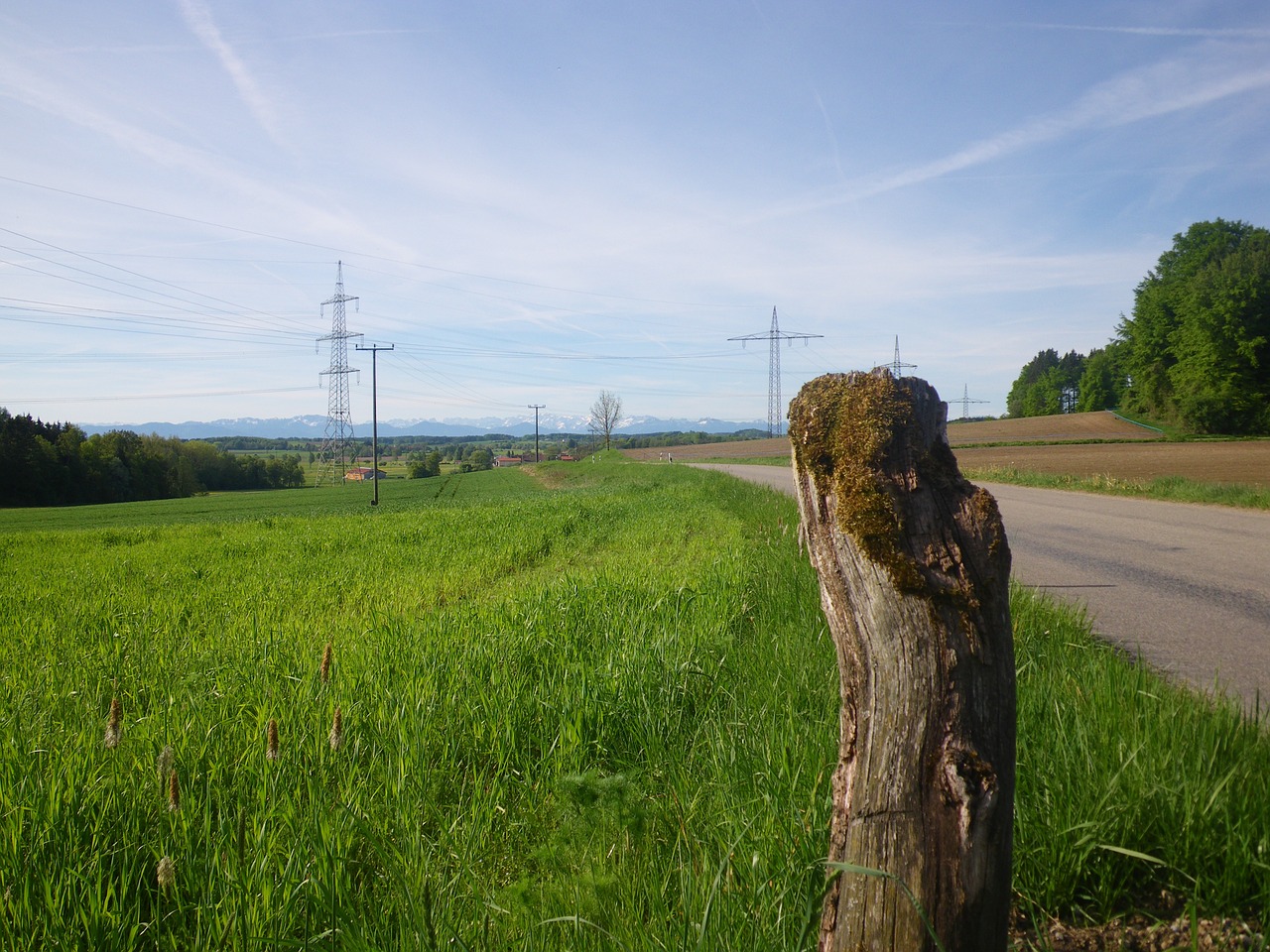 spring awakening nature road free photo