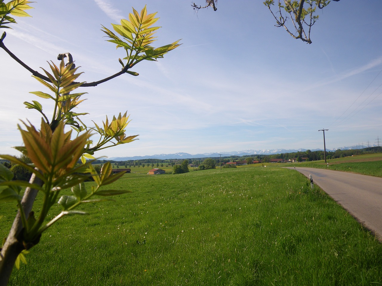 spring awakening nature road free photo