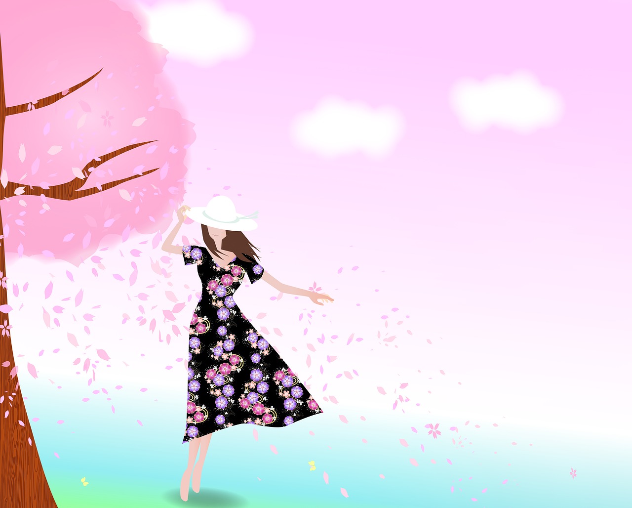 spring background  cherry blossoms  sky free photo