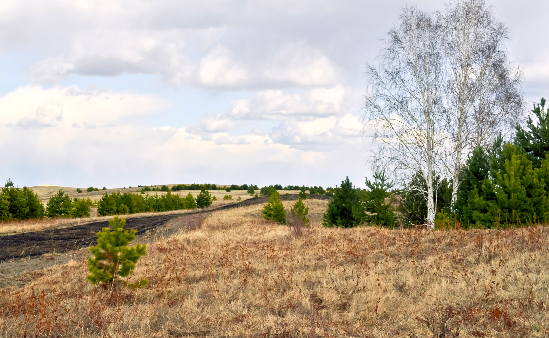 road field sky free photo