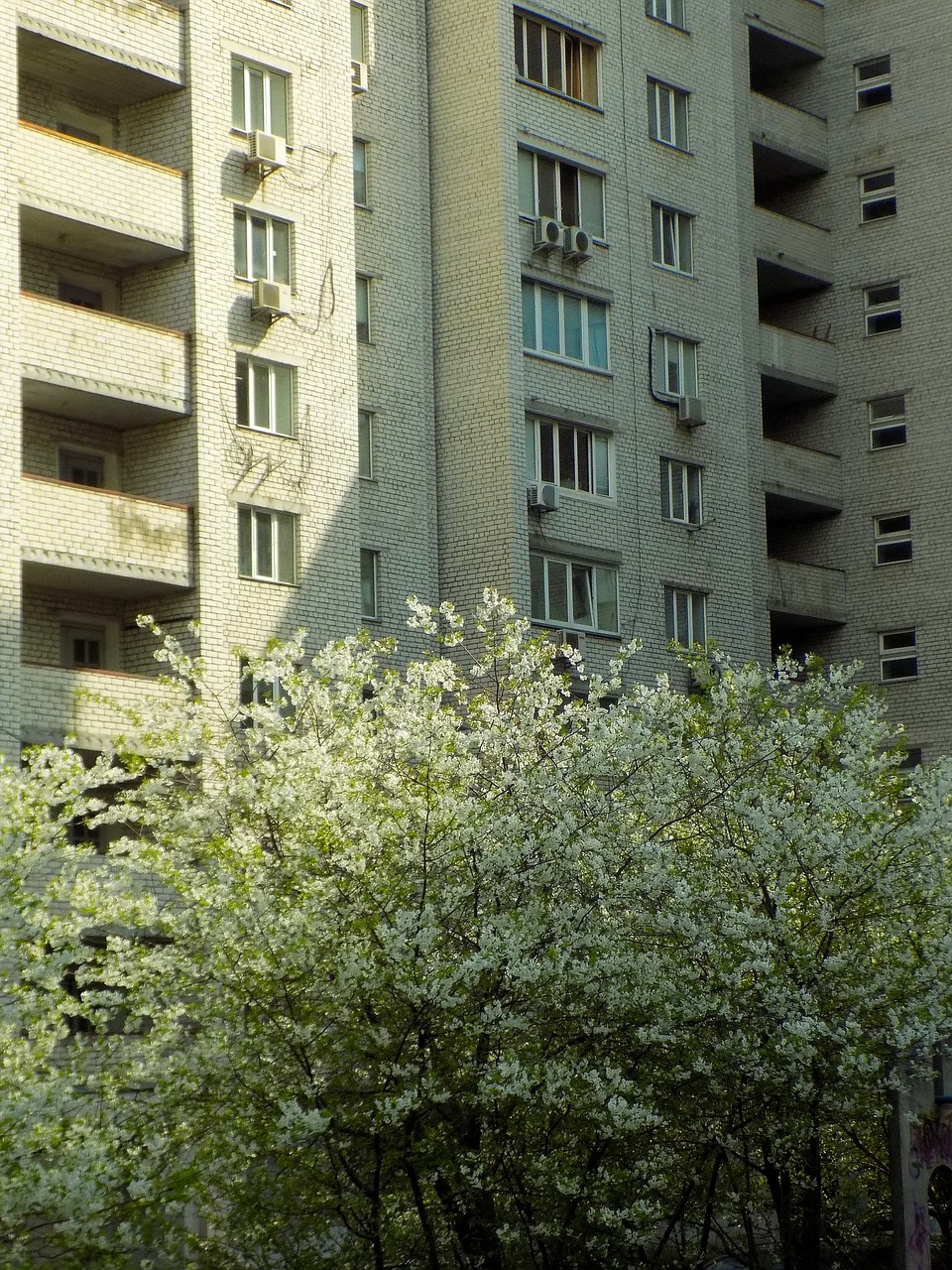 spring in the city  contrast  architecture free photo