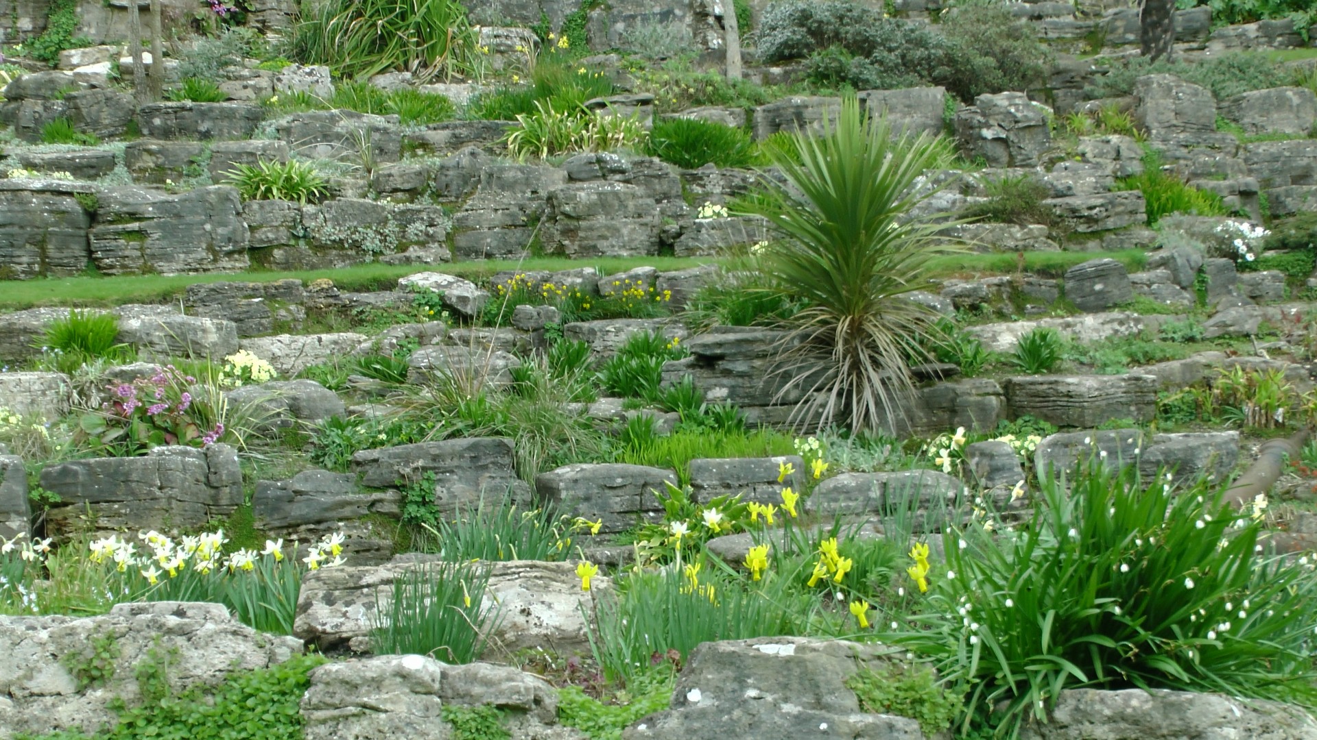 spring rock garden spring rock free photo