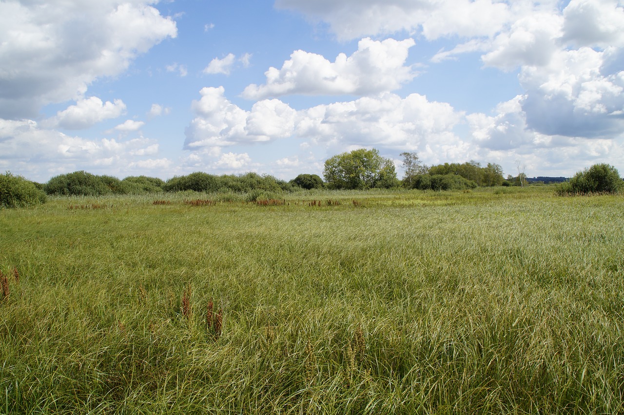 spring lake moor moorland free photo