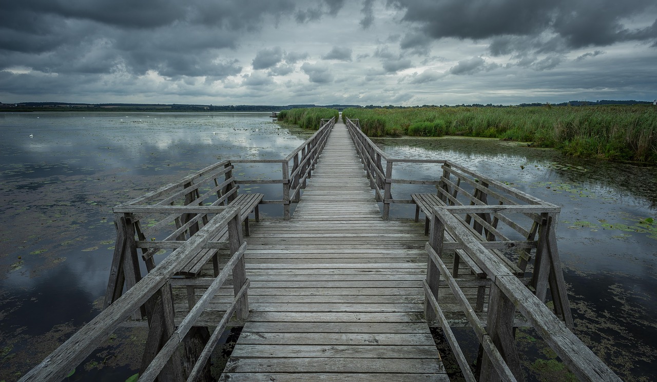 spring lake wooden bridge boardwalk free photo