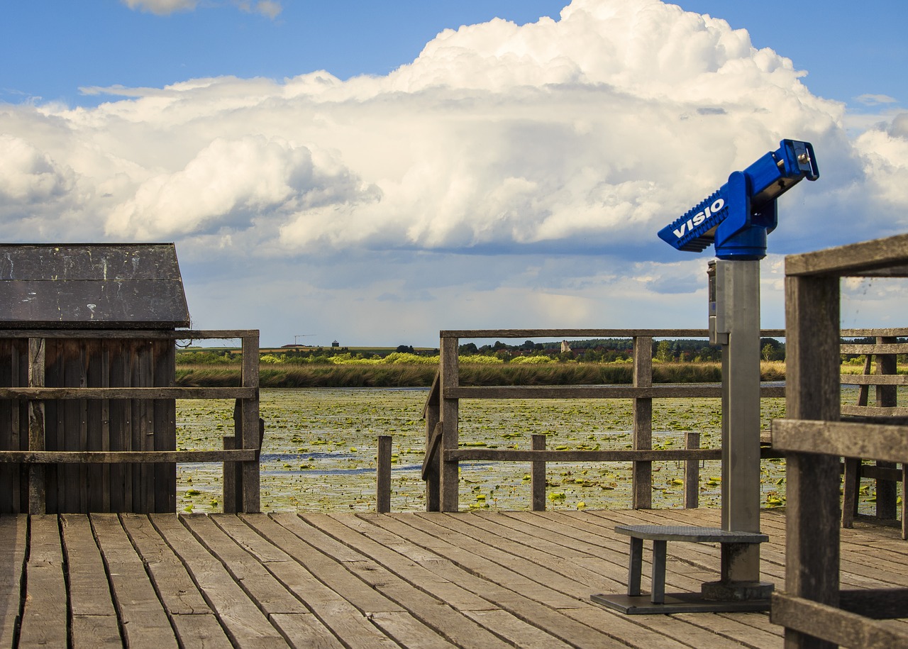 spring lake bad buchau boardwalk free photo