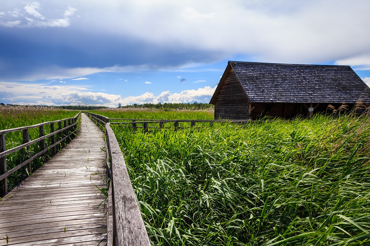 spring lake bad buchau boardwalk free photo