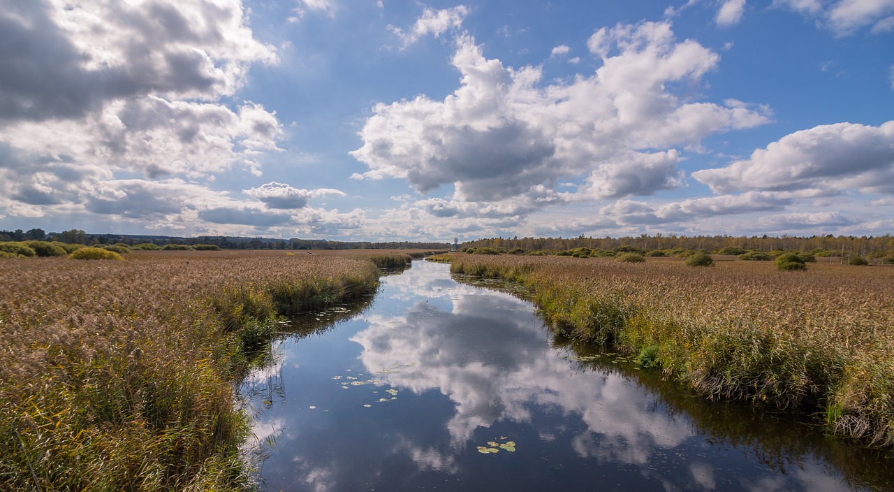 spring lake nature conservation world heritage free photo