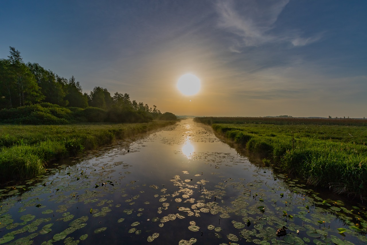 spring lake  riedsee  morning sun free photo