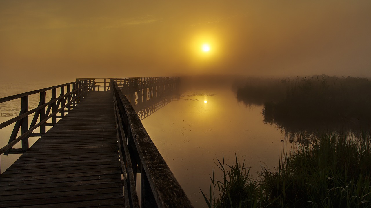 spring lake  web  sunrise free photo