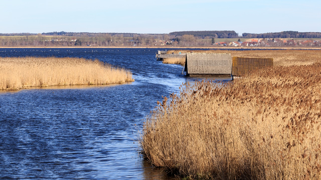 spring lake  nature conservation  landscape free photo