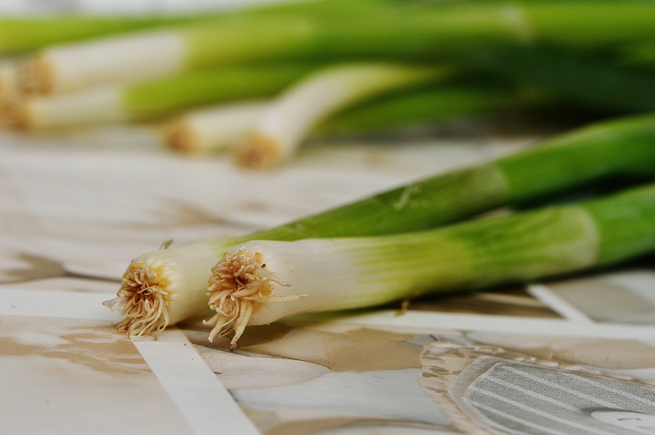 spring onions leek delicious free photo