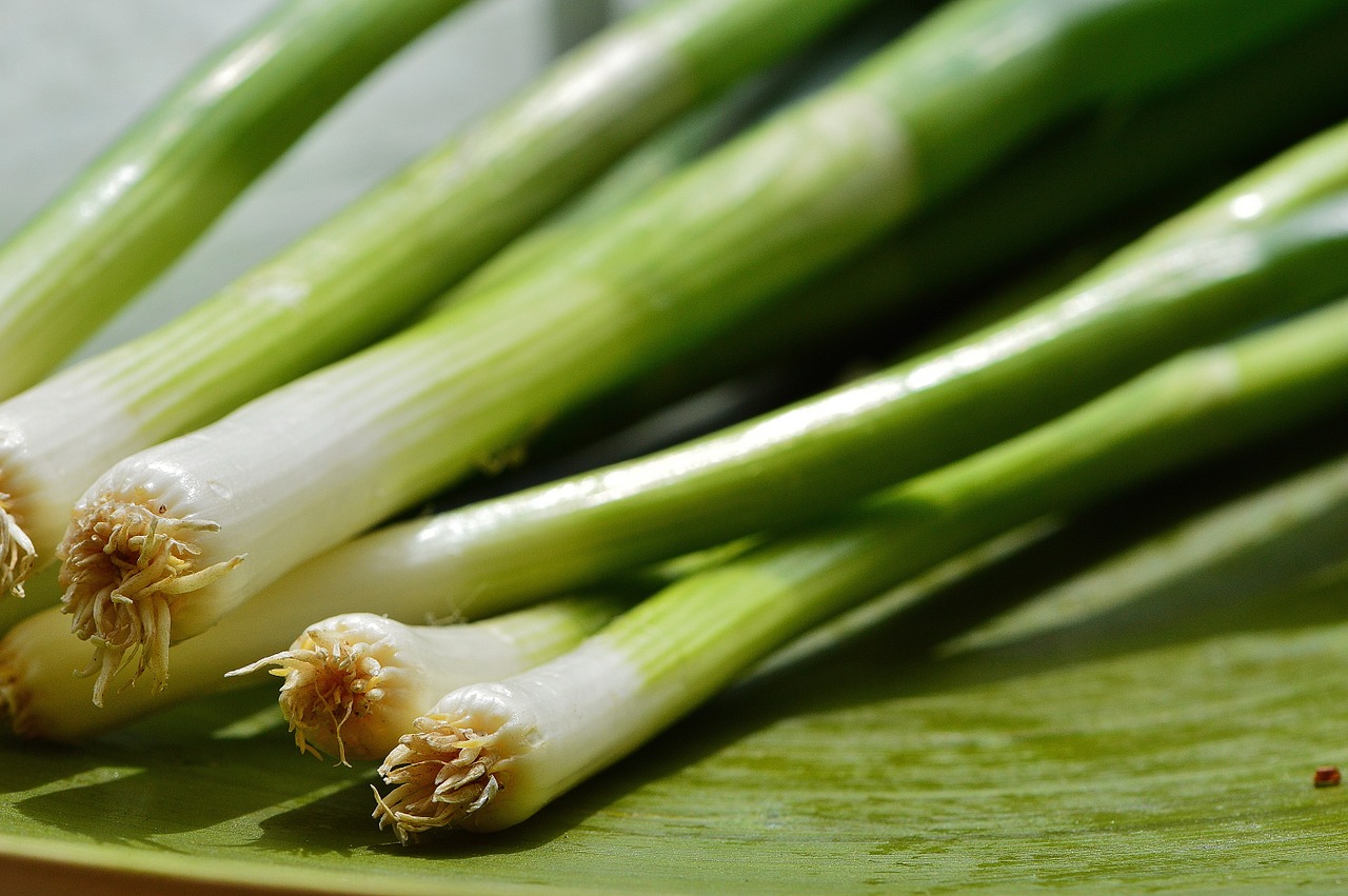 spring onions leek delicious free photo