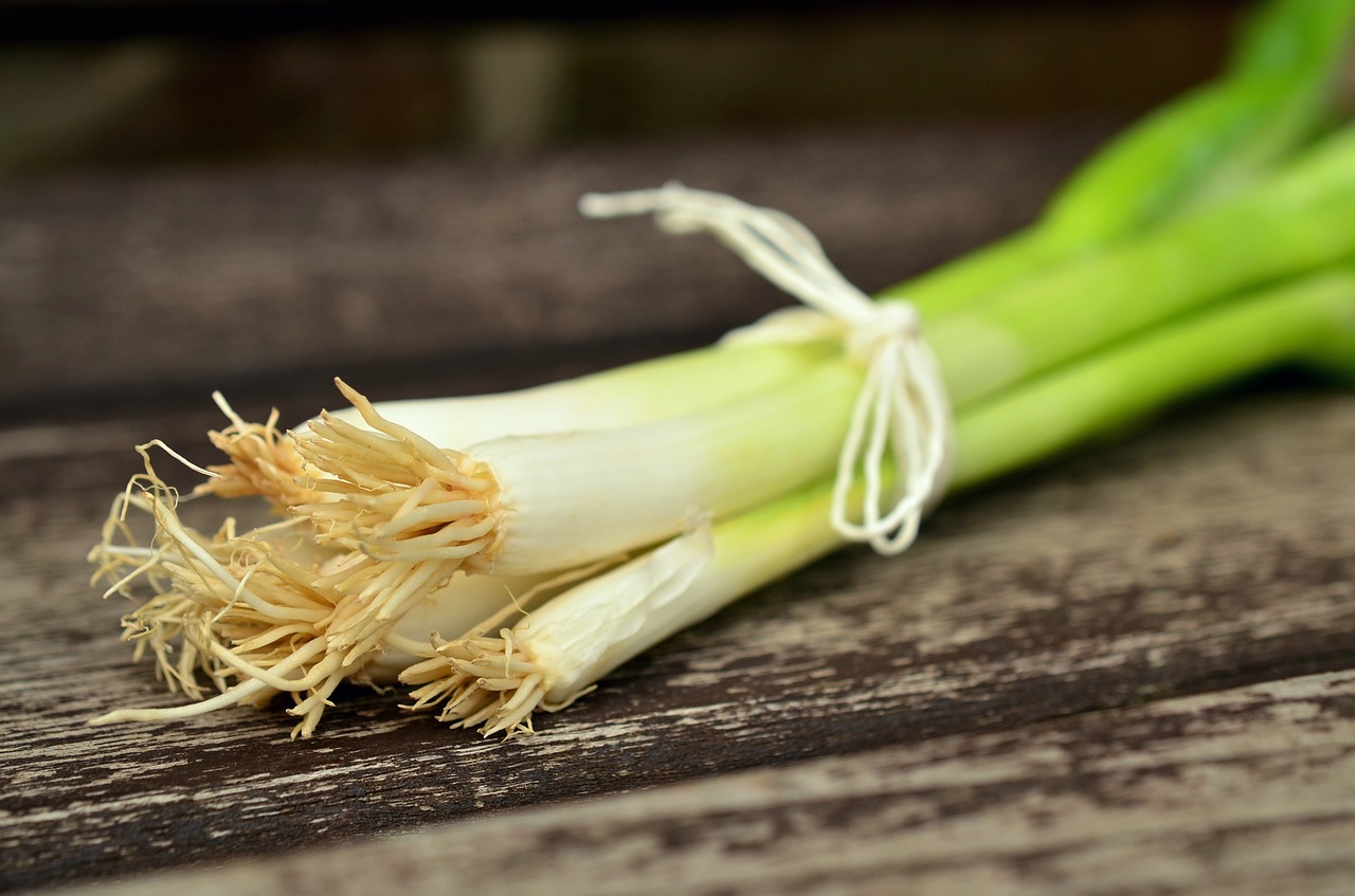 spring onions vegetables spring onion free photo