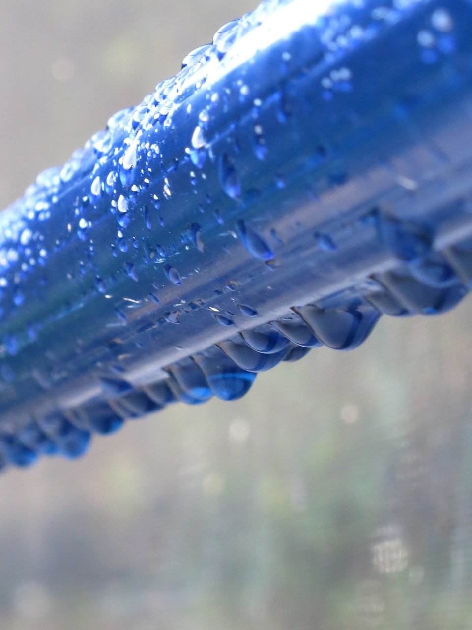 spring rain  pole  rain drops free photo