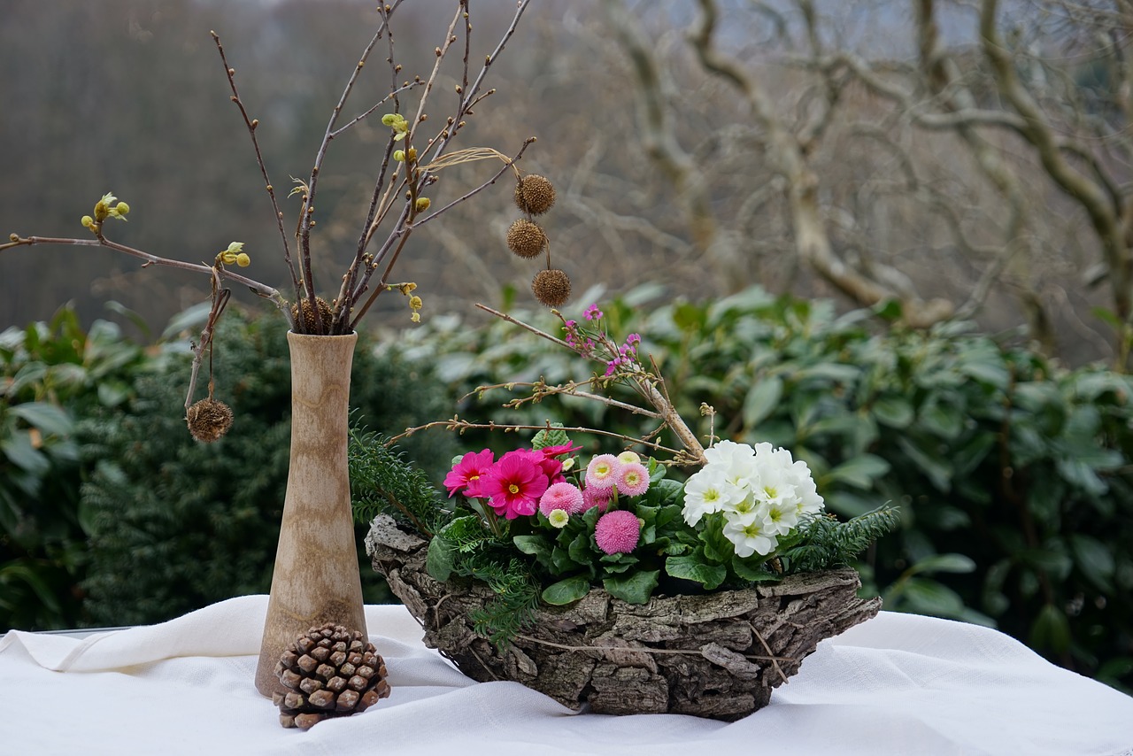 spring still life bellis pink primrose white free photo