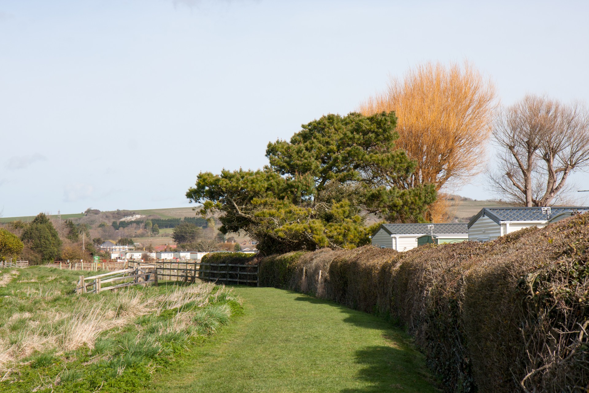 spring nature countryside free photo