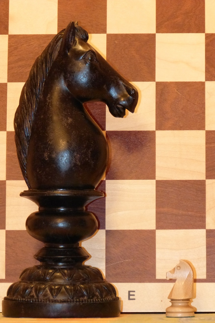 springer chess chess piece free photo
