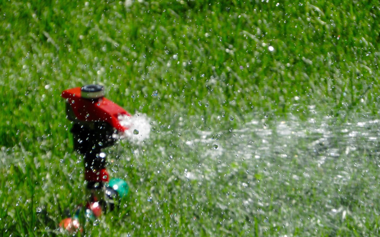 sprinkler watering grass free photo