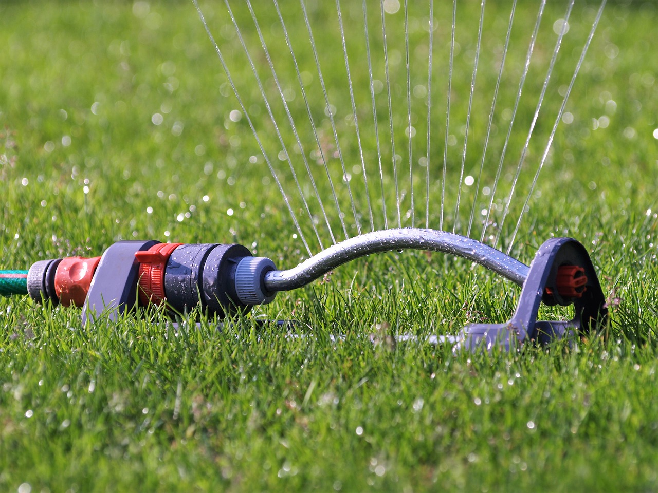 sprinkler water hose connection free photo