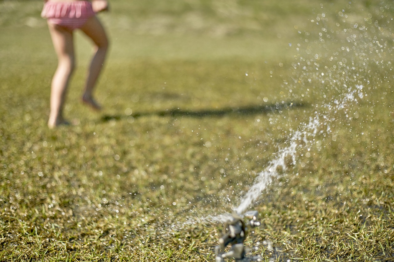 sprinkler grass playing free photo