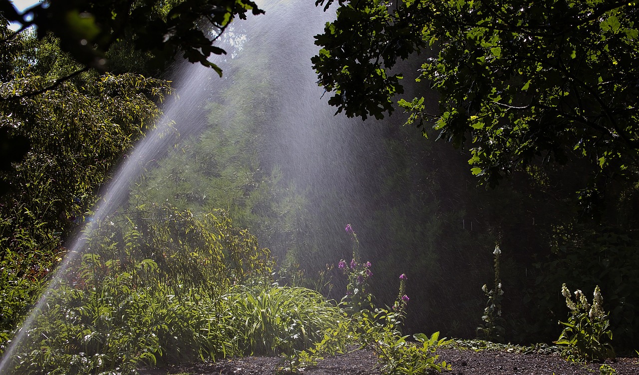 sprinkler watering woodland garden free photo